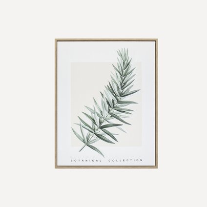 Картина Ботаник Herb