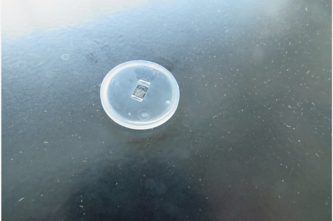 Изображение 943470