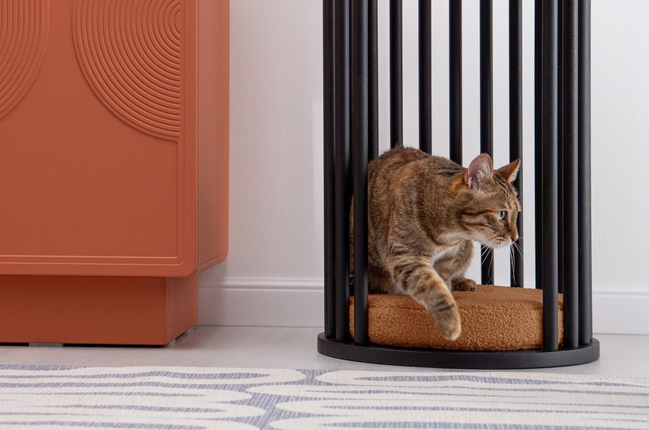 Изображение 878494