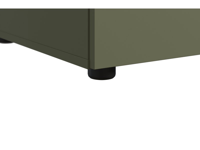 Распашной шкаф Ренар 2-100x250 Оливковый