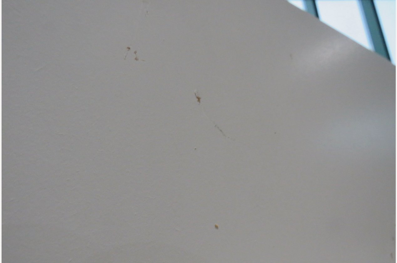 Изображение 957006