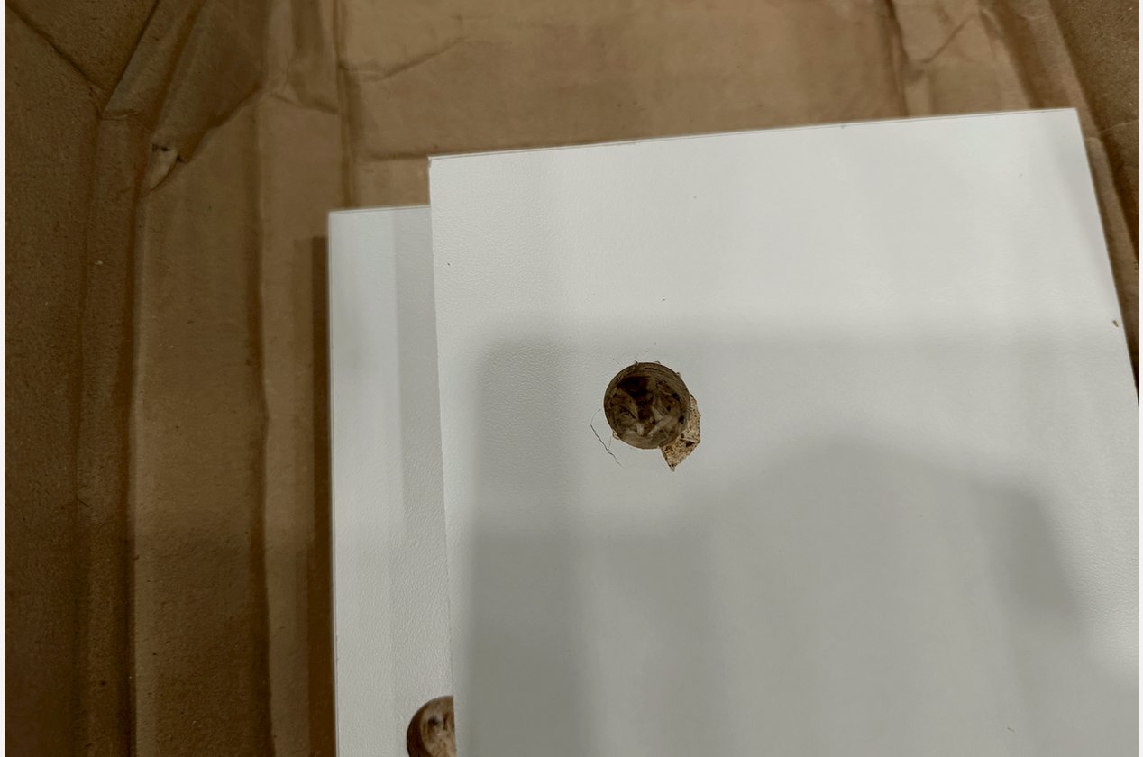 Изображение 926067