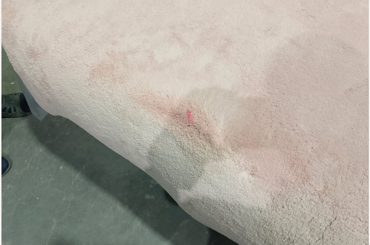 Изображение 924455