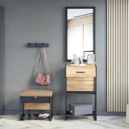 Модульная прихожая Техно-2 Дуб Золотой