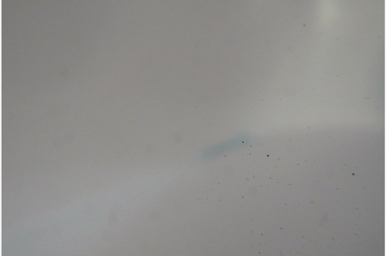 Изображение 962024