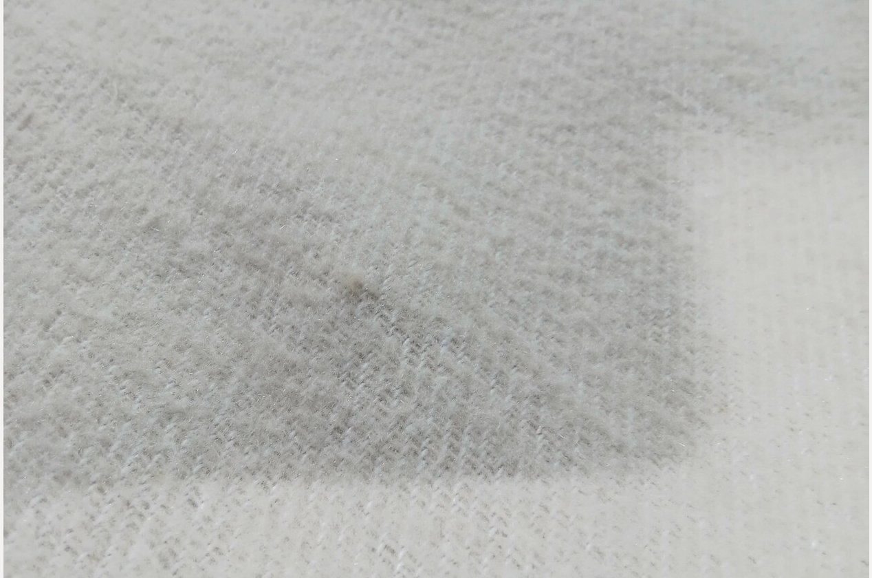 Изображение 909668