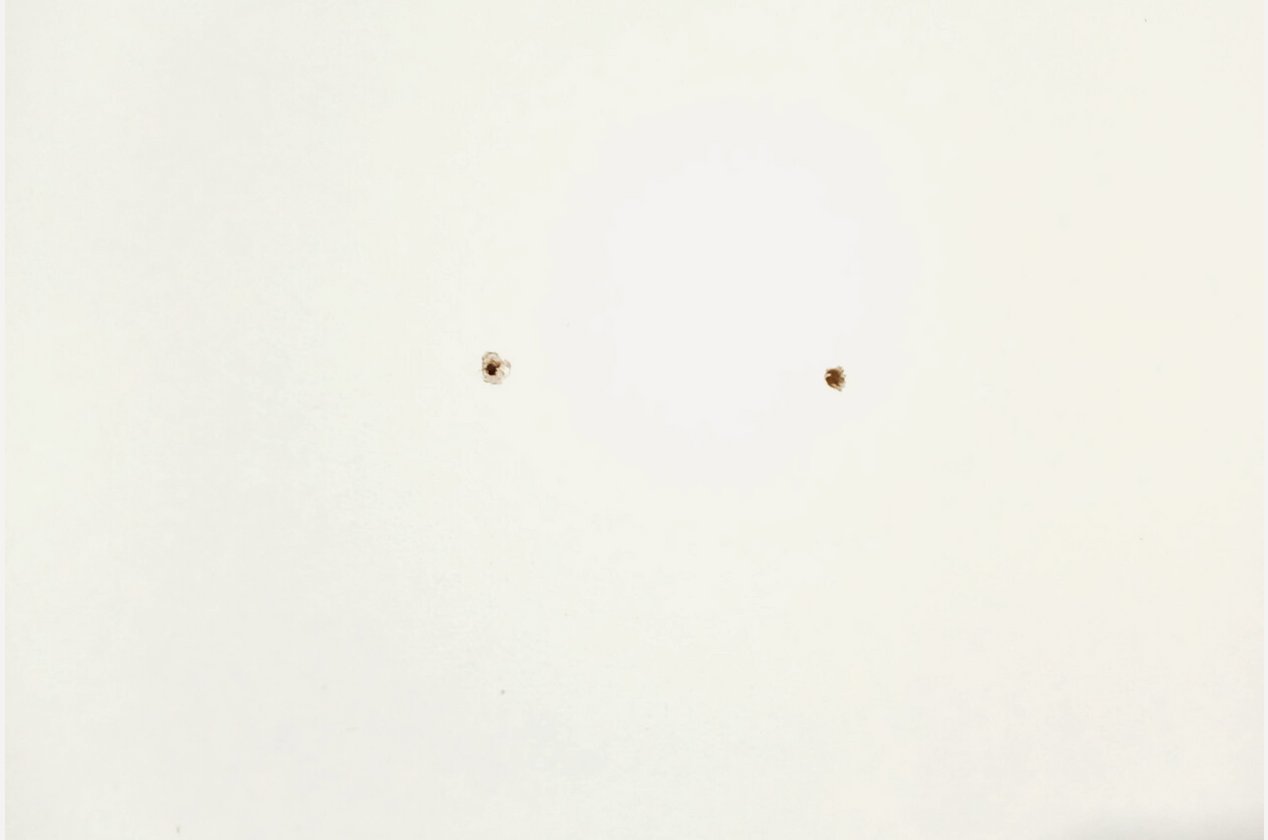 Изображение 902299