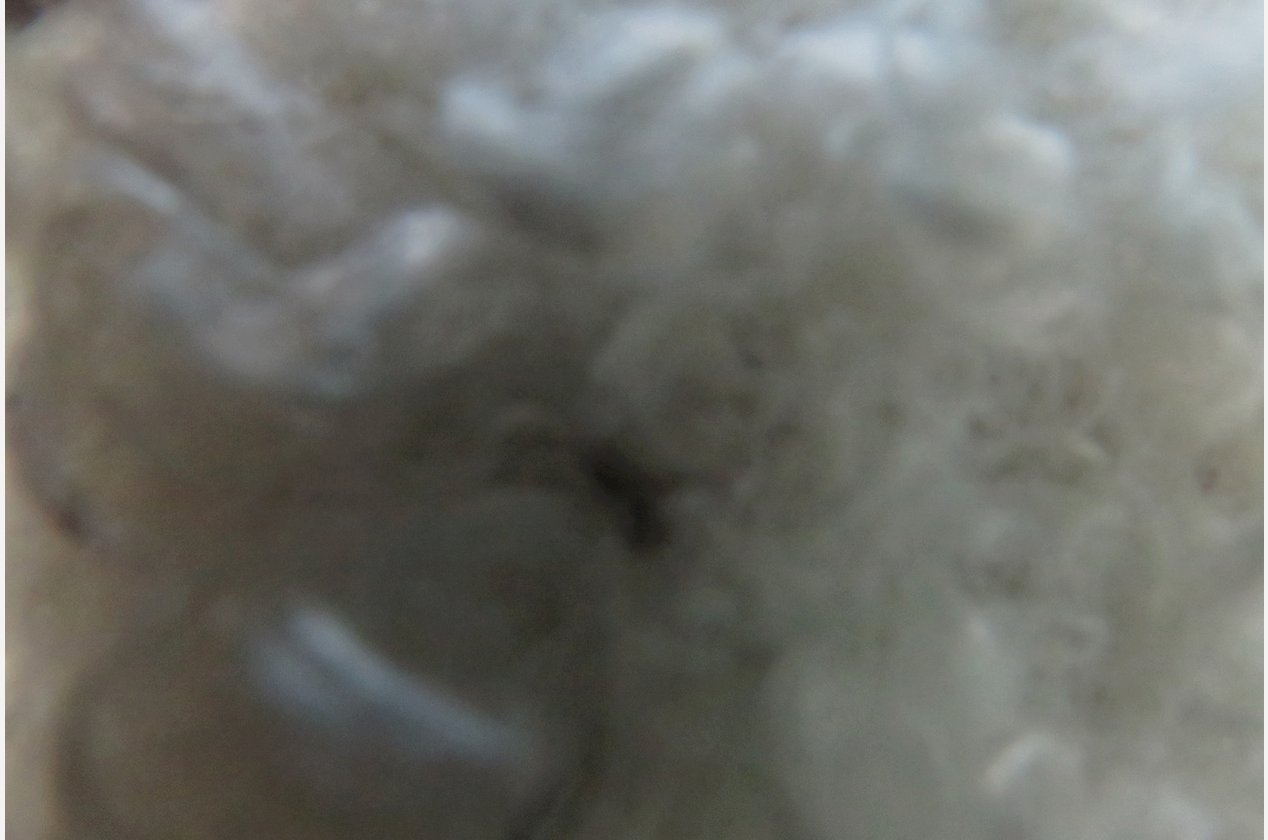 Изображение 953934