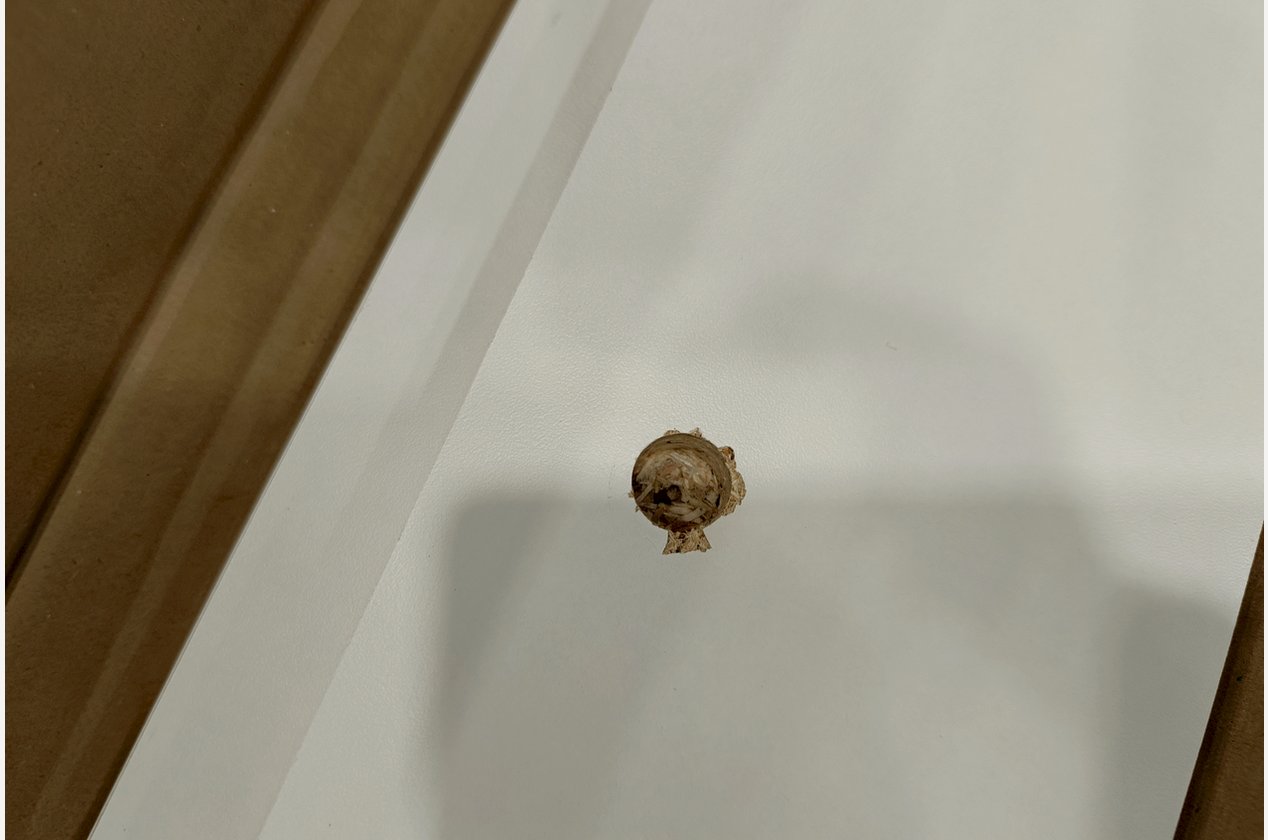 Изображение 926066