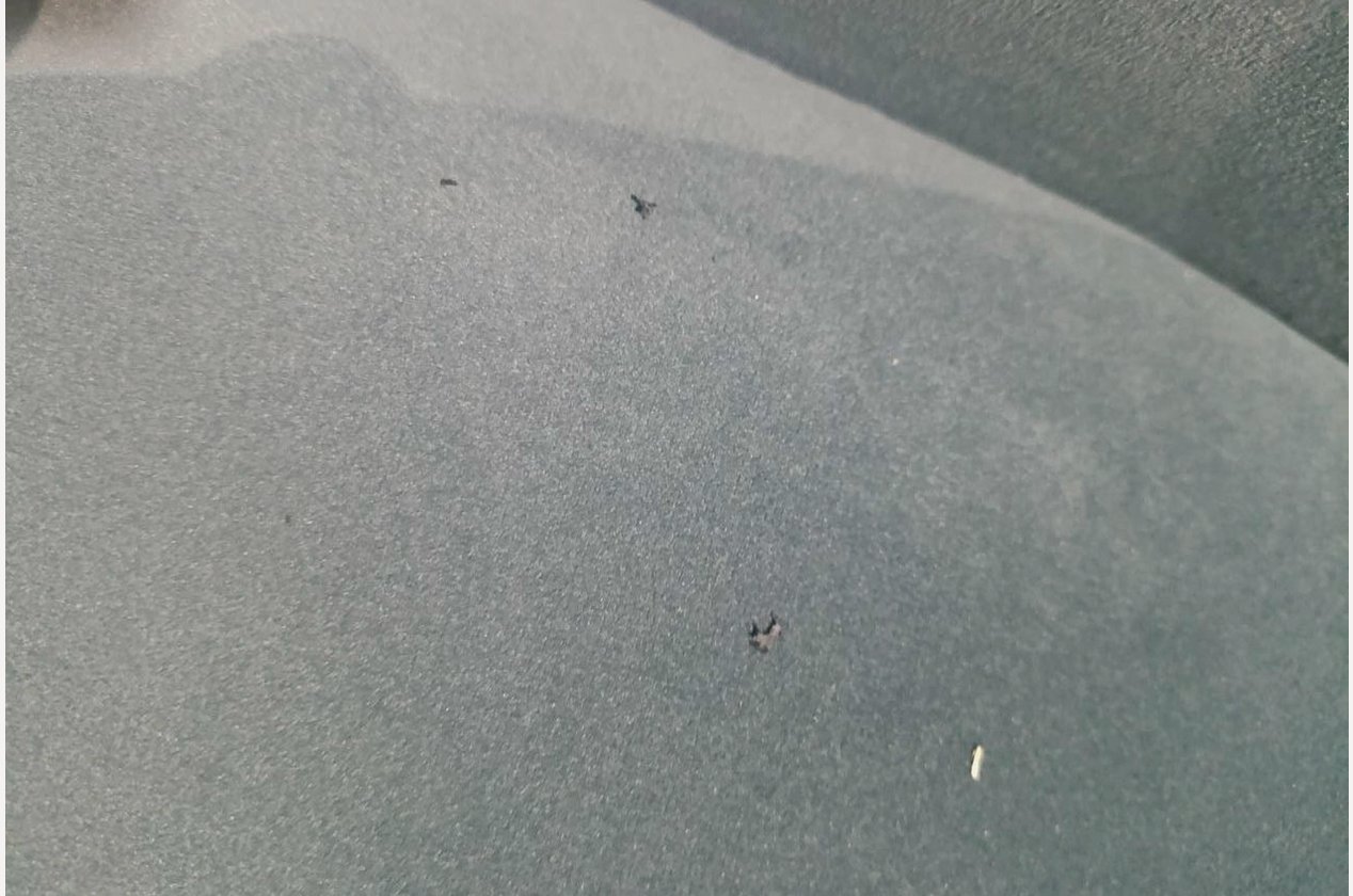 Изображение 912073