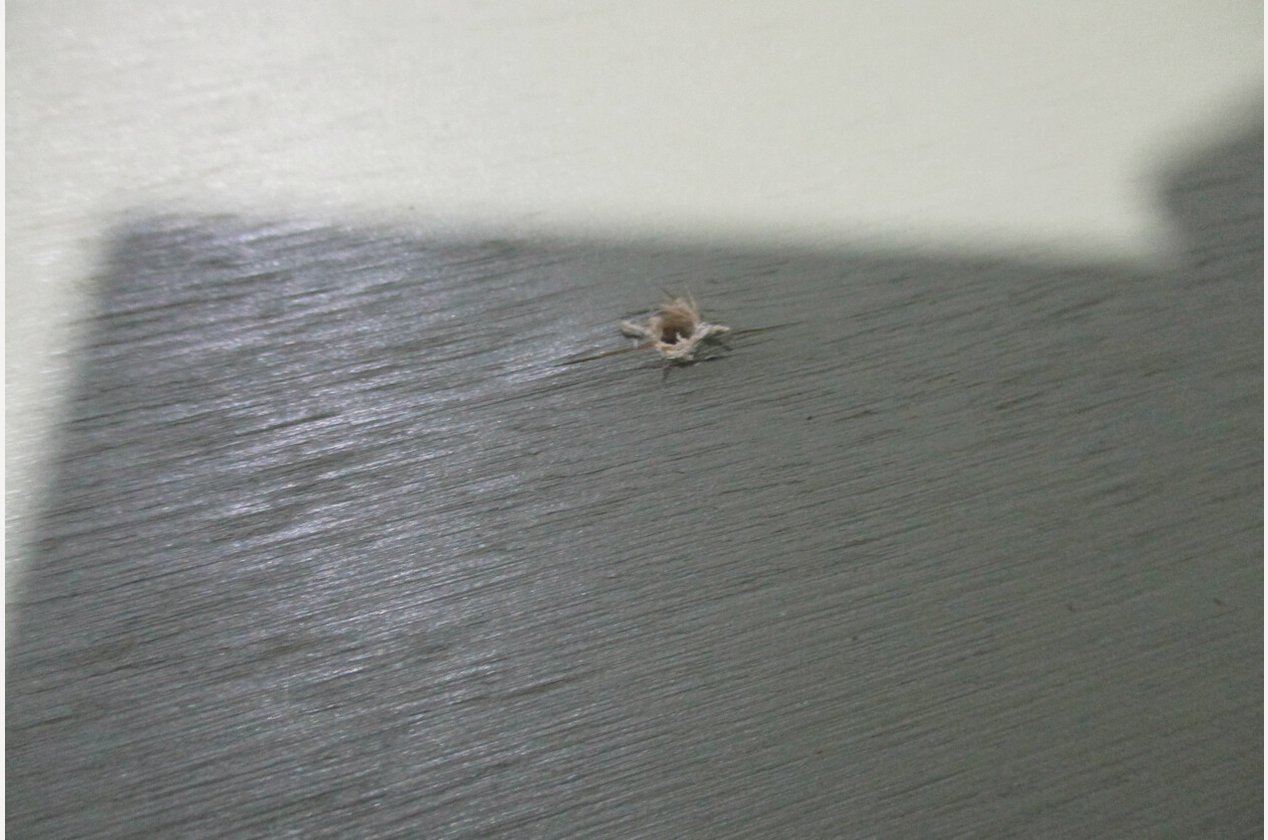 Изображение 880947