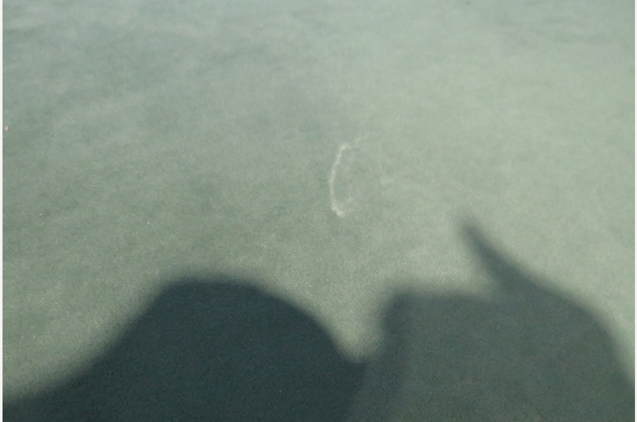 Изображение 955373