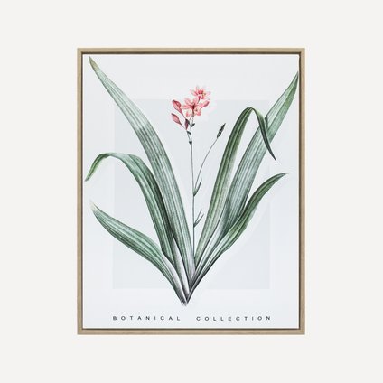 Картина Ботаник Flower