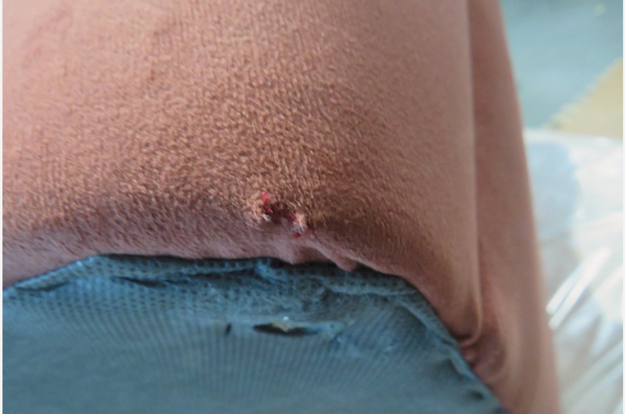 Изображение 930452