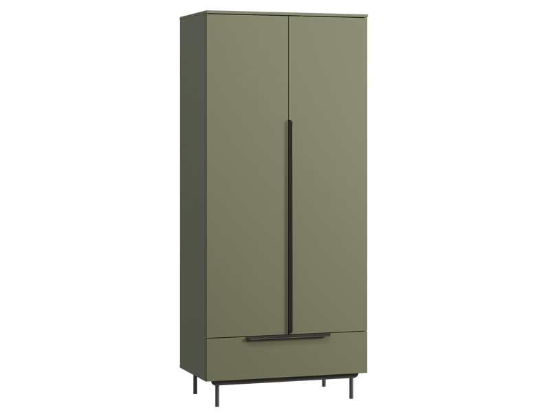 Распашной шкаф Квелен 2-96x220 Оливковый