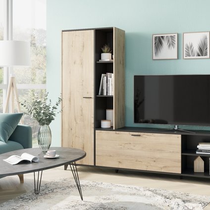 Стенка Окленд Дуб Ирландский