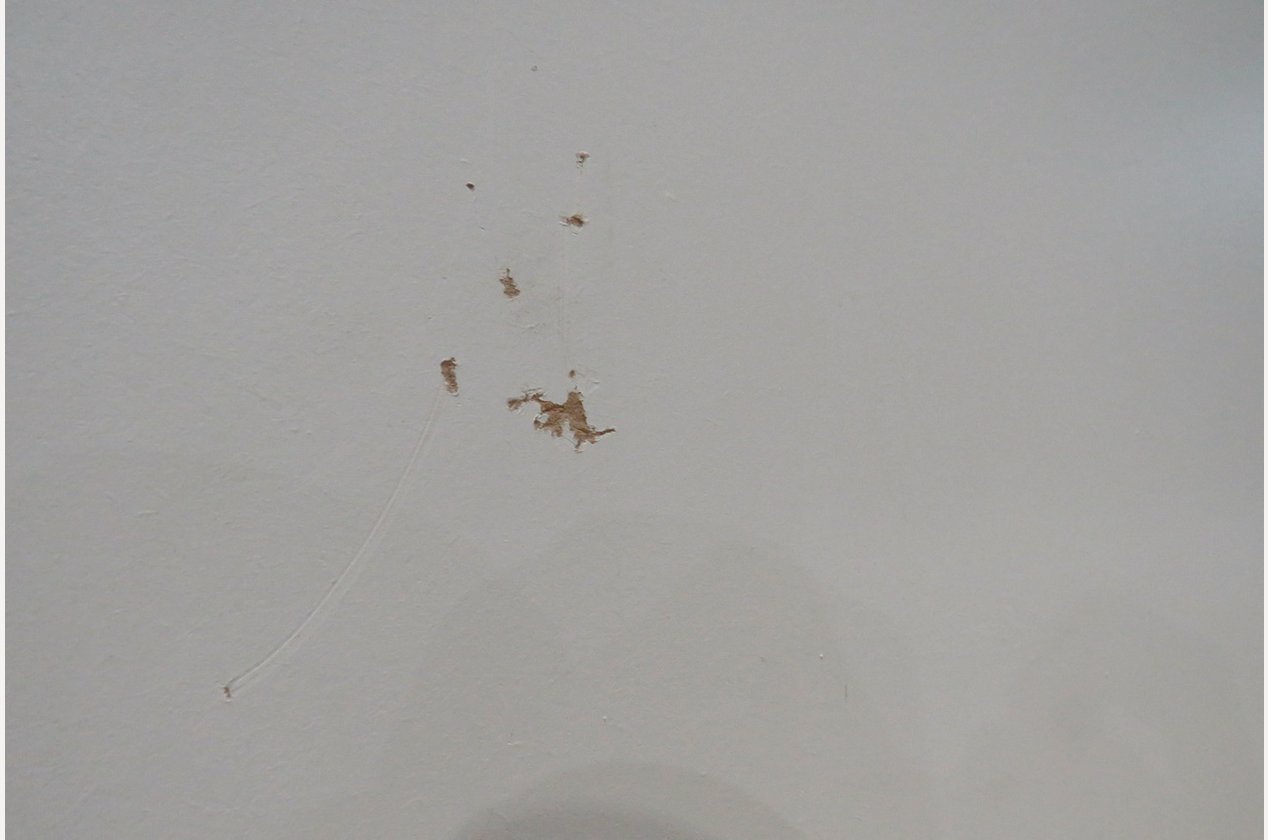 Изображение 957005