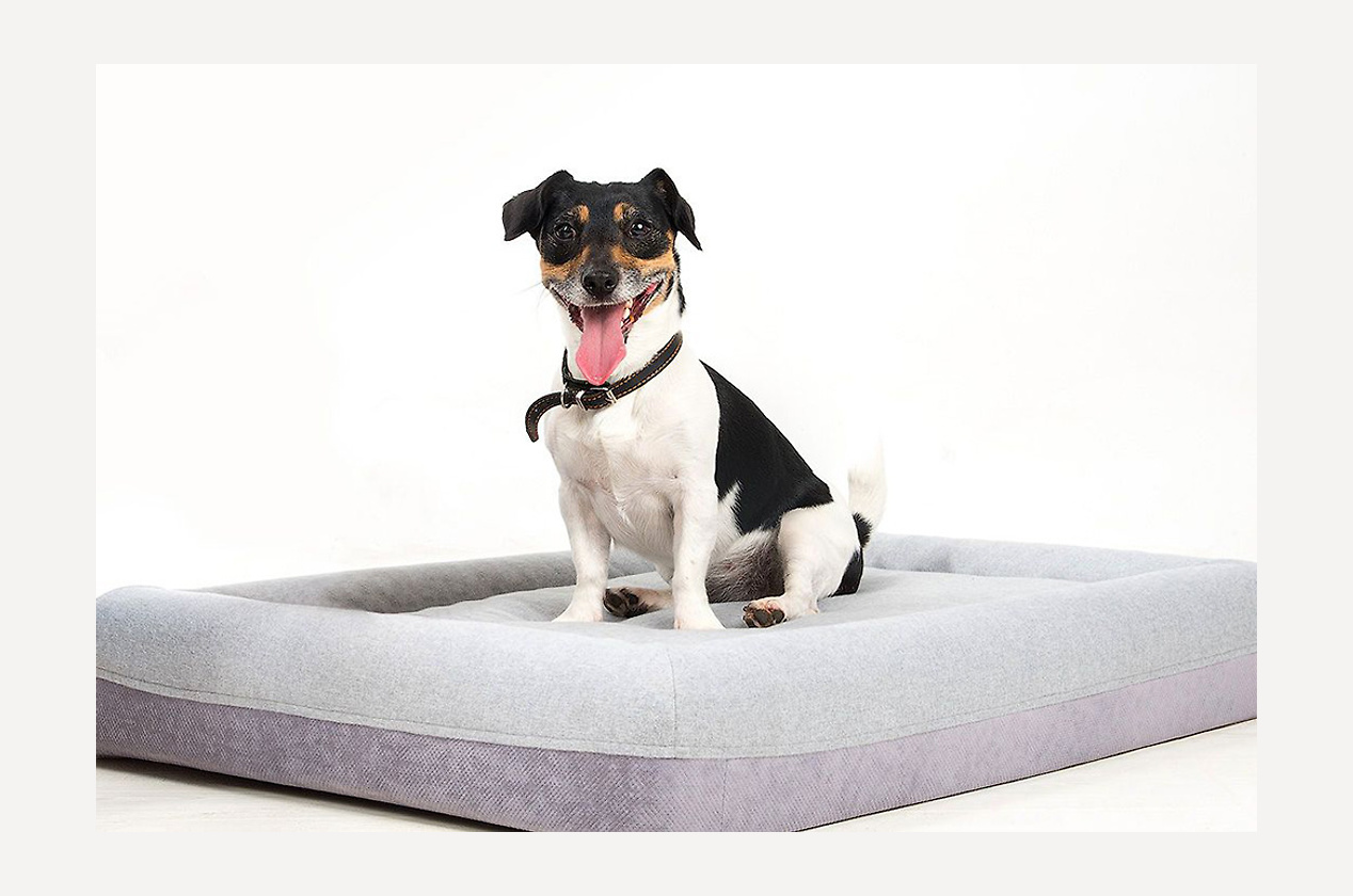 Изображение 31401