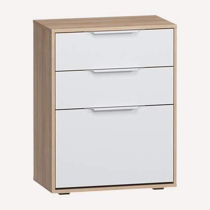 Обувница Лира-2